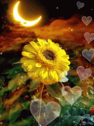 Yellow Flower With Hearts And Crescent Moon GIF