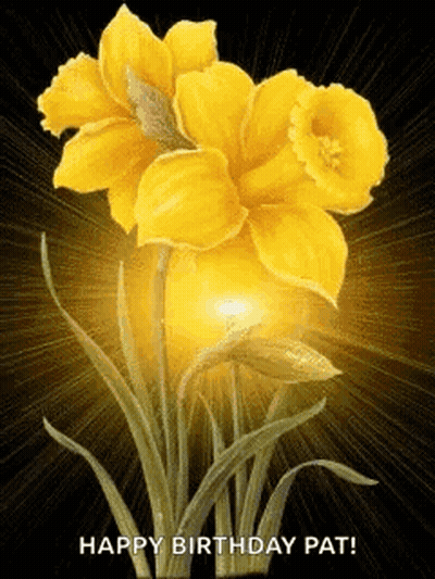 Yellow Flowers Happy Birthday Pat GIF