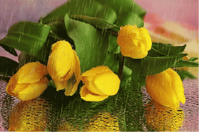 Yellow Flowers In The Rain With Water Drops GIF