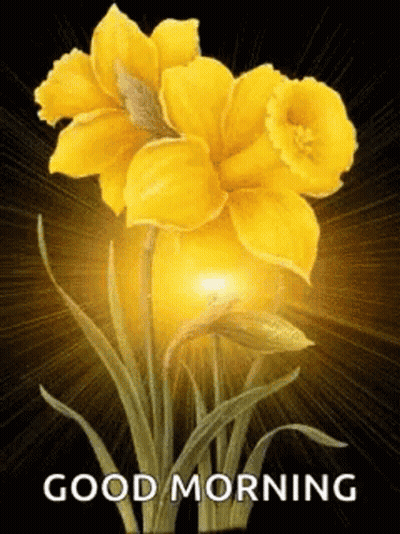 Yellow Flowers Saying Good Morning GIF