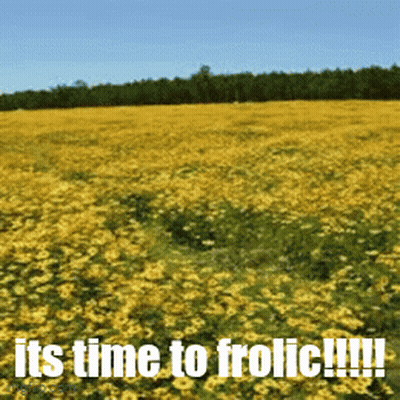 Yellow Flowers Saying It's Time To Frolic GIF