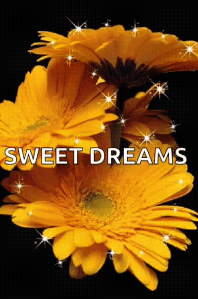 Yellow Flowers With Sweet Dreams GIF