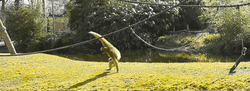 Yellow Gibbon Running GIF