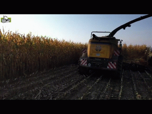 Yellow New Holland Tractor Cutting Corn GIF