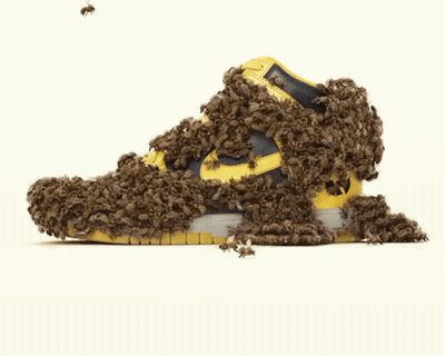 Yellow Nike Shoe Covered In Bees And Flies GIF