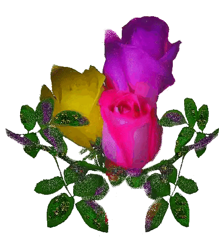 Yellow Pink Purple Roses With Green Leaves Sticker