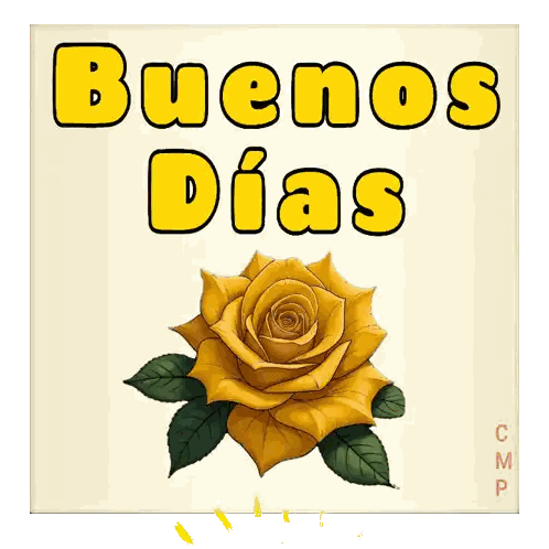 Yellow Rose And Buenos Dias Sticker