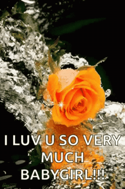 Yellow Rose Floating In Water Saying I Luv U So Very Much Babygirl GIF