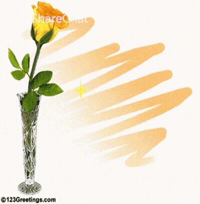Yellow Rose Saying You're Very Special To Me GIF