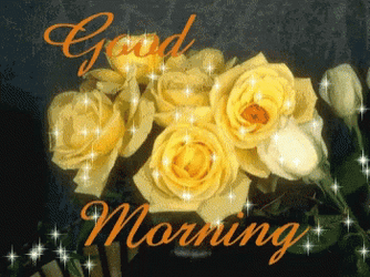 Yellow Rose Special Good Morning GIF