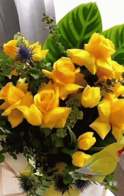 Yellow Roses Bouquet With Bird GIF