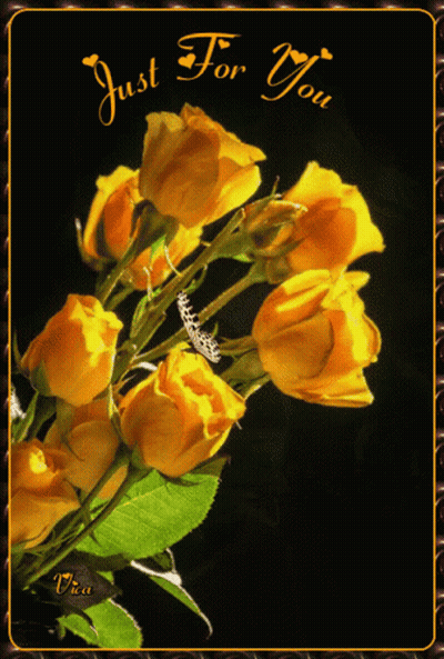 Yellow Roses Greeting Card Saying Just For You GIF