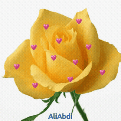 Yellow Roses Greeting Card Saying Just For You GIF