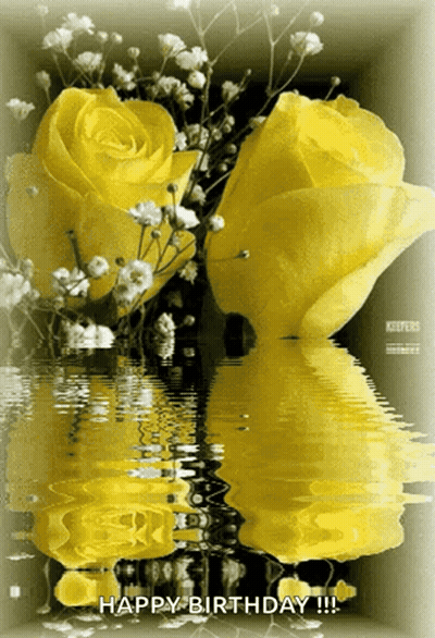 Yellow Roses Reflected In Water Saying Happy Birthday GIF