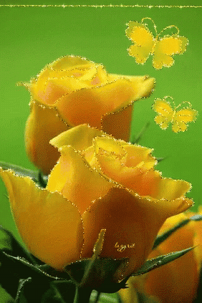 Yellow Roses With Butterflies GIF