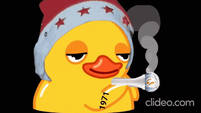 Yellow Rubber Duck Smoking Pipe 1971 GIF