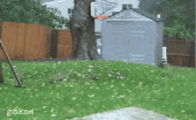 Yellow Sign Saying Juice Box GIF