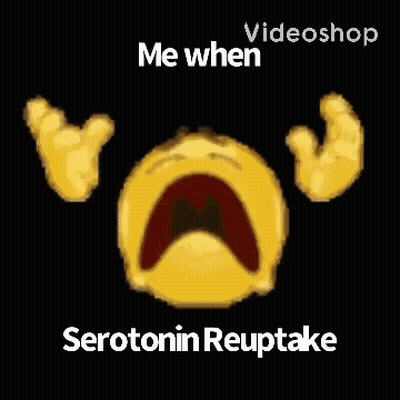 Yellow Smiley Face Saying Videoshop Me When Serotonin Reuptake GIF