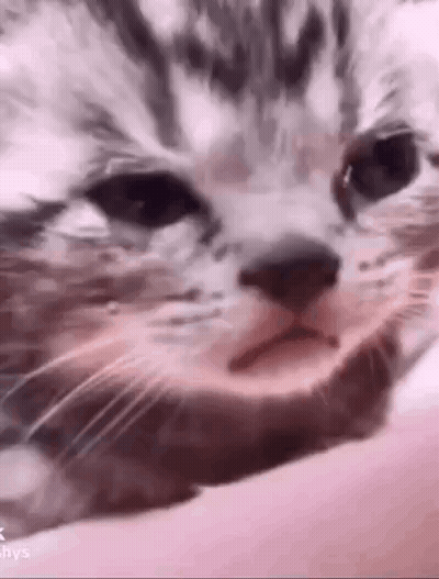 Yellow Smiley Sad Face GIF