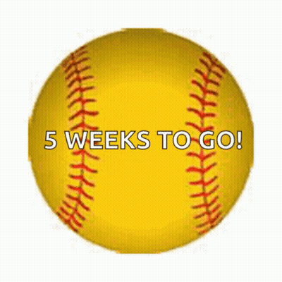 Yellow Softball Saying 5 Weeks To Go GIF