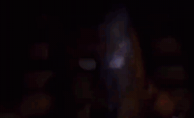 Yellow Teddy Bear Face Close Up GIF