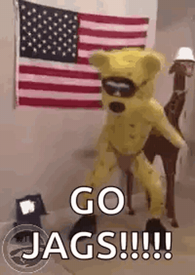 Yellow Teddy Bear Mascot Next To Giraffe And American Flag GIF
