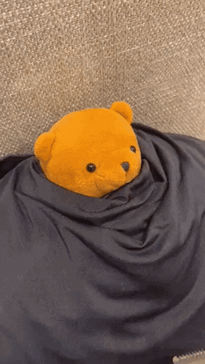 Yellow Teddy Bear Wrapped In Black Blanket GIF