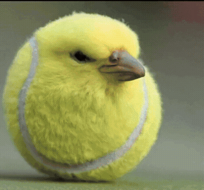 Yellow Tennis Ball Shaped Like Bird GIF