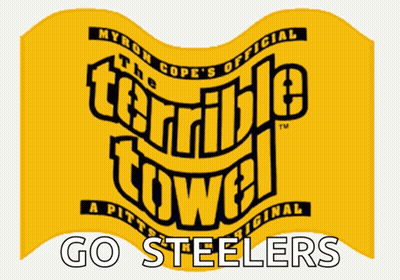 Yellow Towel Saying The Terrible Towel GIF