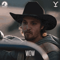 Yellowstone Kayce Dutton Happy Wow GIF