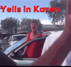 Yells In Karen Frantic Encounter GIF