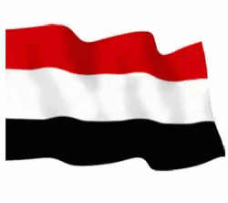 Yemen Flag Waving