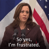 Yes I'm Frustrated GIF