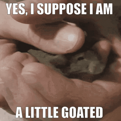 Yes I Suppose I Am a Little Goated Person Holding Small Animal