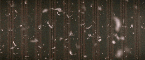 Yes It's Bed Time GIF