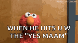 Yes Maam Elmo GIF