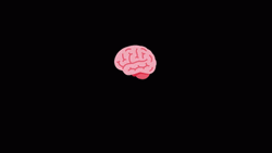 Yes No Brain Sliced GIF