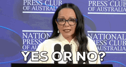 Yes Or No Linda Burney GIF