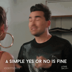 Yes Or No Schitts Creek David Rose GIF