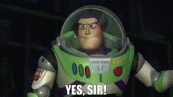 Yes Sir Buzz Toy Story