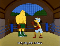 Yes Sir Mr Burns Boxing
