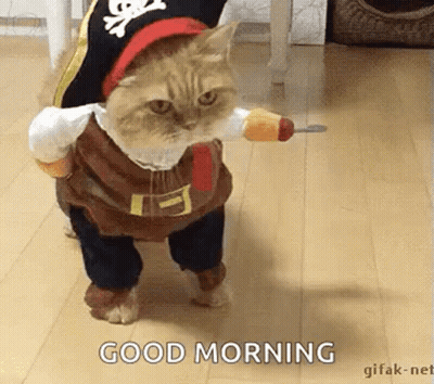 Yes True I Agree With Your Statement GIF