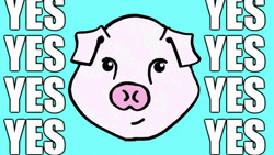Yes Yes Funny Pig