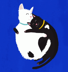 Yin Yang Hugging Cats GIF