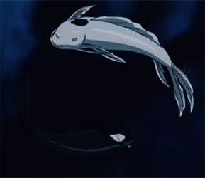 Yin Yang Spinning Fish GIF