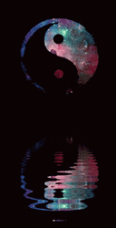 Yin Yang Water Reflection GIF