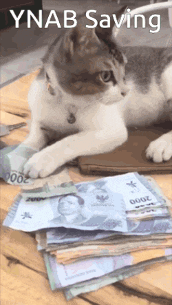 Ynab Cat Money GIF