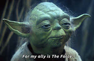 Yoda Ally Is The Force GIF