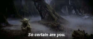 Yoda Alone In The Forest GIF