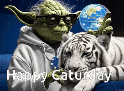 Yoda And White Tiger Happy Saturday GIF